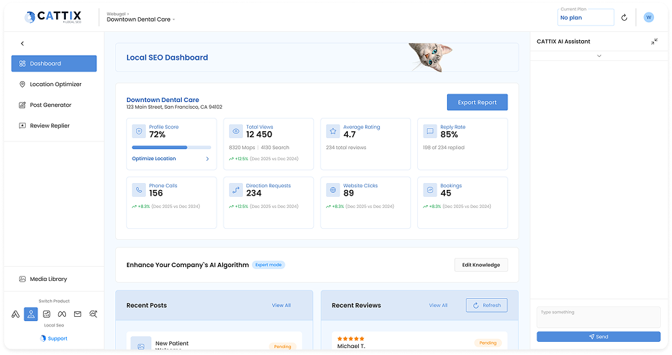 CATTIX Local SEO interface